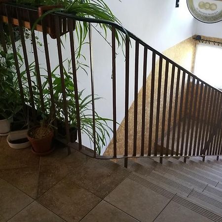 Dom Sportowca Roko Apartman Gdańsk Kültér fotó
